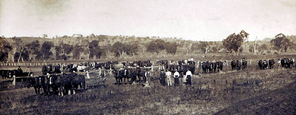 The Greta - Hansonville communities prior to the outbreak of World War One