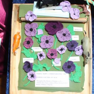 displays at opening of The Gathering Place 18 Oct 2015 (2)