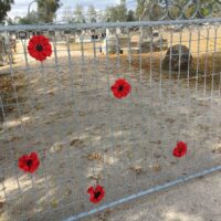 Cemetery Gates ANZAC Service Greta Cemetery 23 April 2019 (17) Cemetery Gates ANZAC Service Greta Cemetery 23 April 2019 (17)