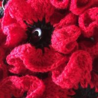 Poppies before being placed on gate ANZAC Service Greta Cemetery 23 April 2019 Poppies before being placed on gate ANZAC Service Greta Cemetery 23 April 2019